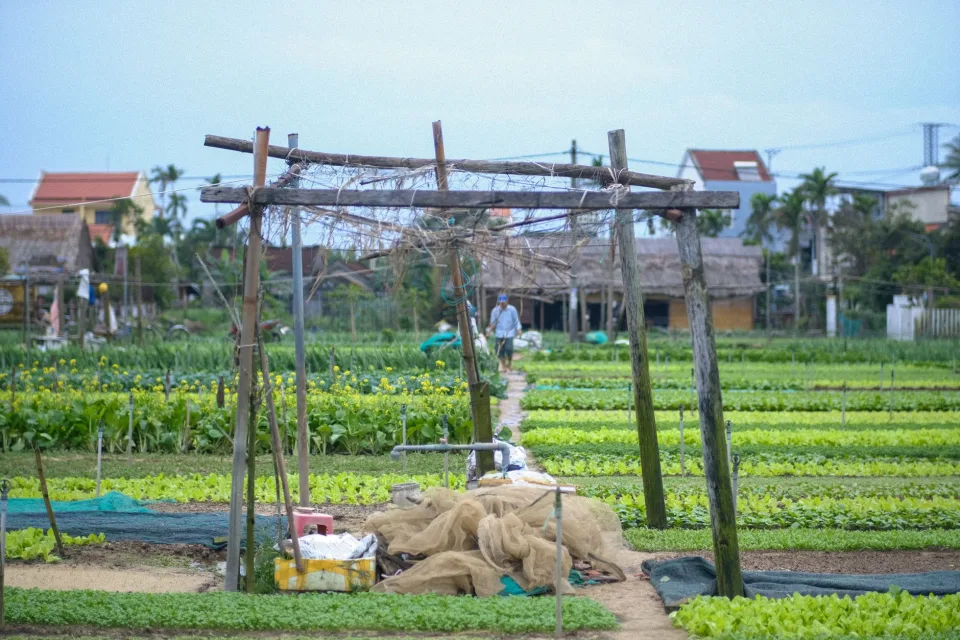 Đội ngũ kỹ thuật tại vườn